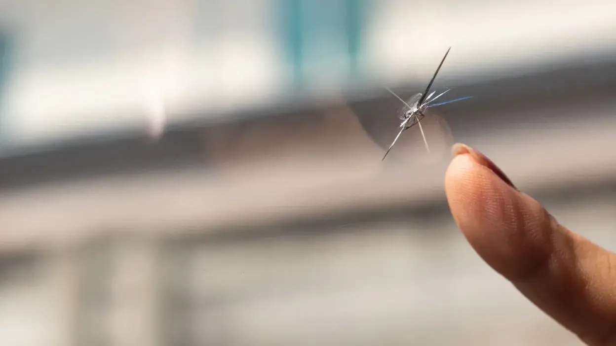 Rachadura no vidro de um para-brisas junto a um dedo humano.