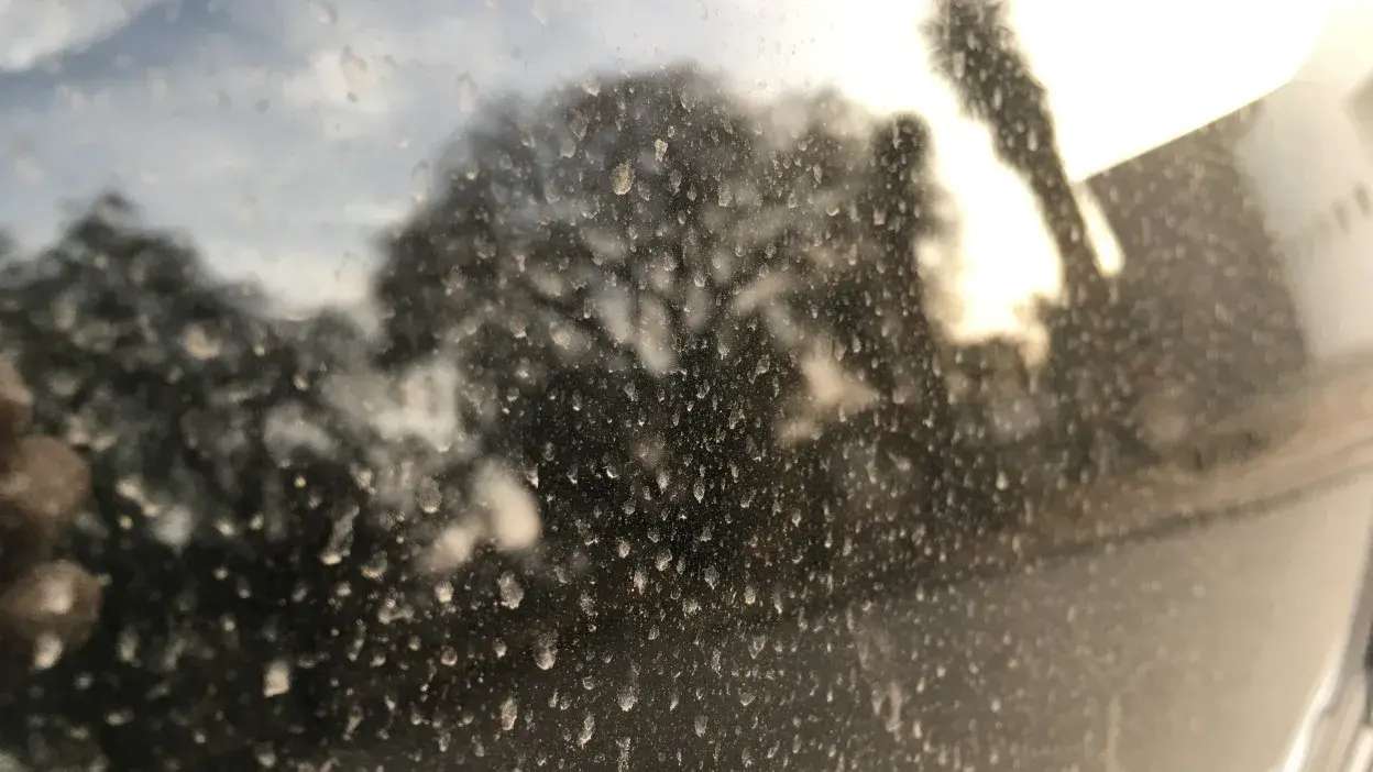 Vidro com manchas de água e fundo desfocado com árvores e edifícios