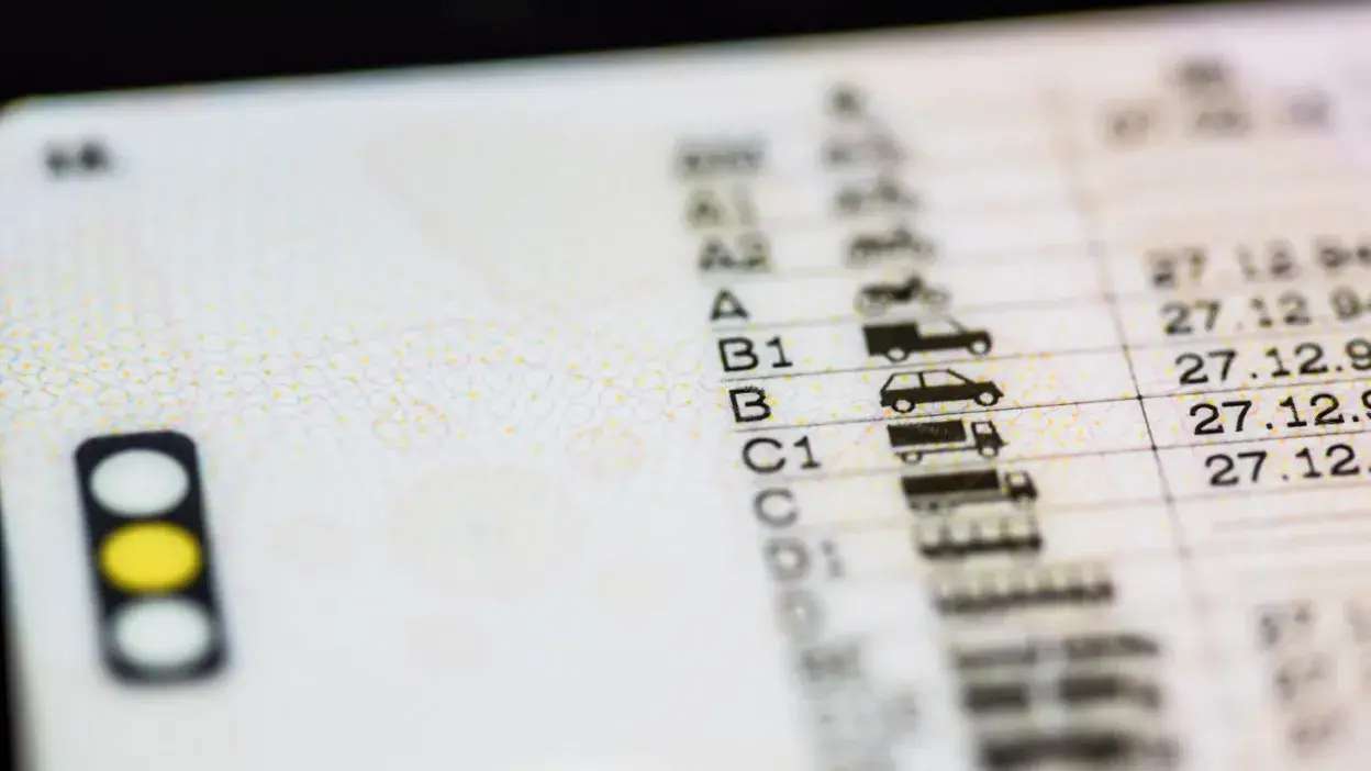 Detalhe das categorias e símbolos de veículos numa carta de condução portuguesa