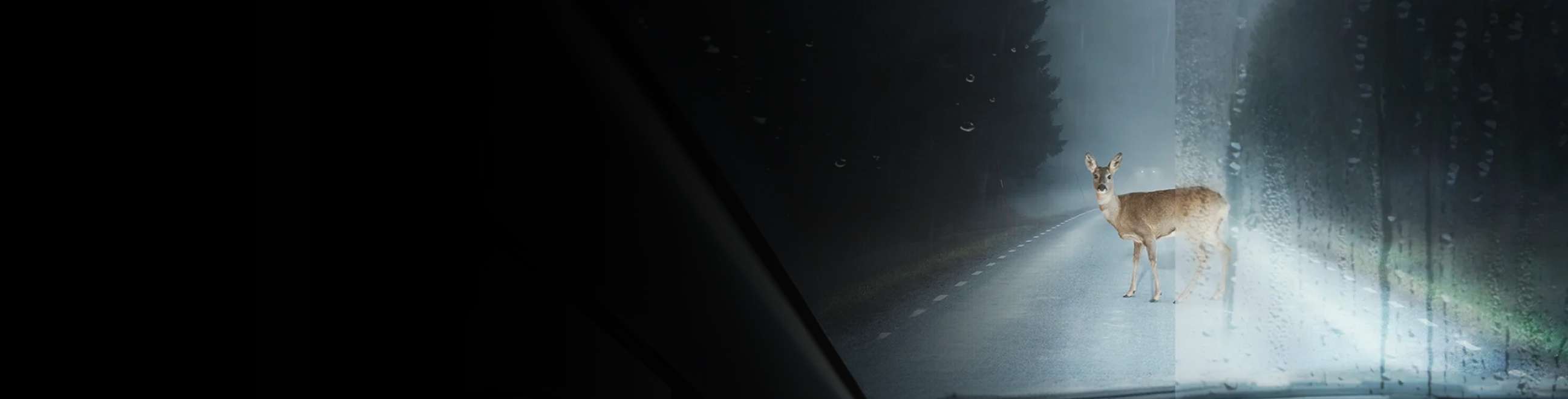 Imagem de um vidro para brisas metade com o nosso tratamento e a outra metade sem em que demonstra a diferença de visbilidade