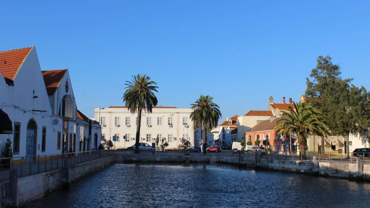 baixa do Montijo, com jardim, rio e palmeiras