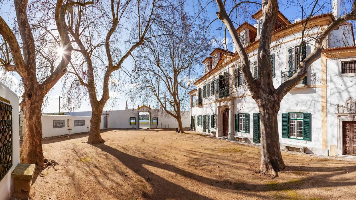 quinta da fidalga ao entardecer, com árvores