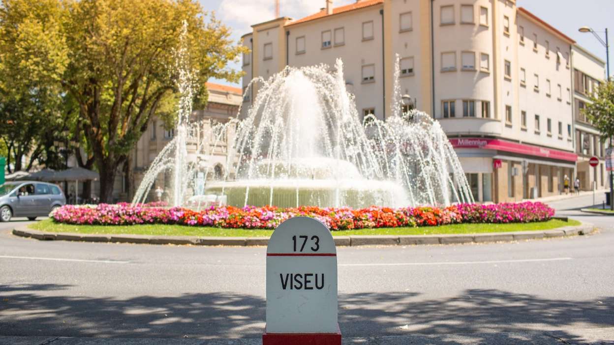 Fonte ornamental no centro de Viseu, rodeada por jardins floridos e edifícios urbanos em ambiente citadino
